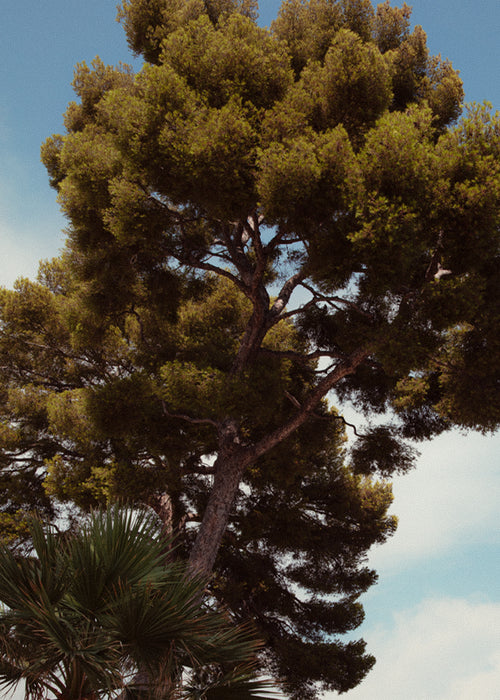 Cap Ferrat