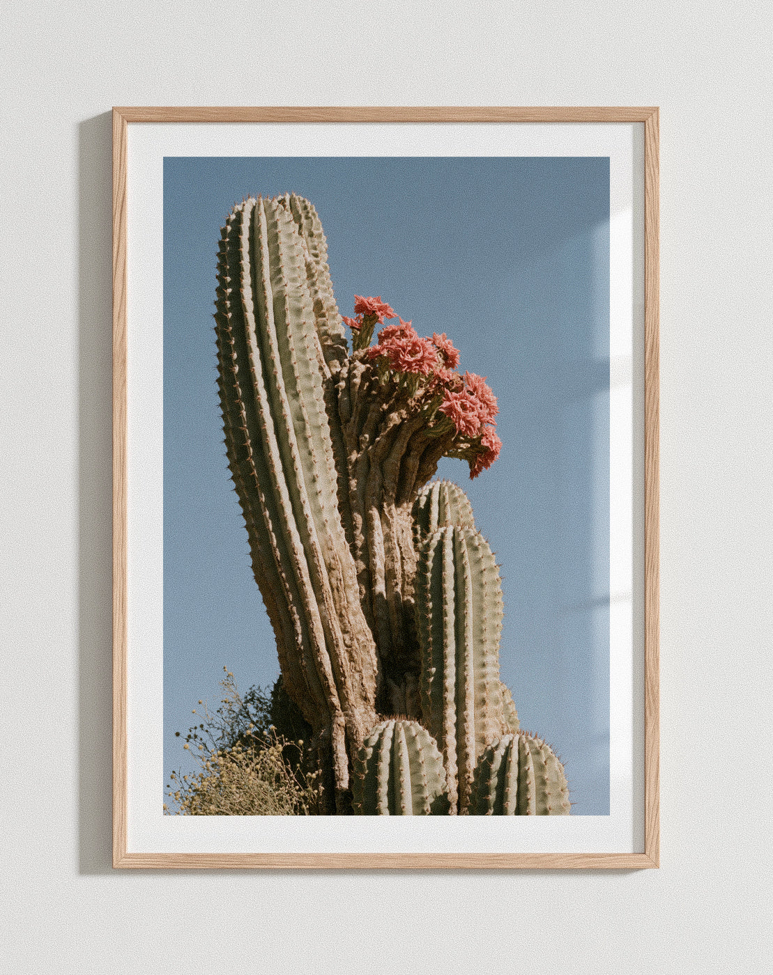 In Bloom