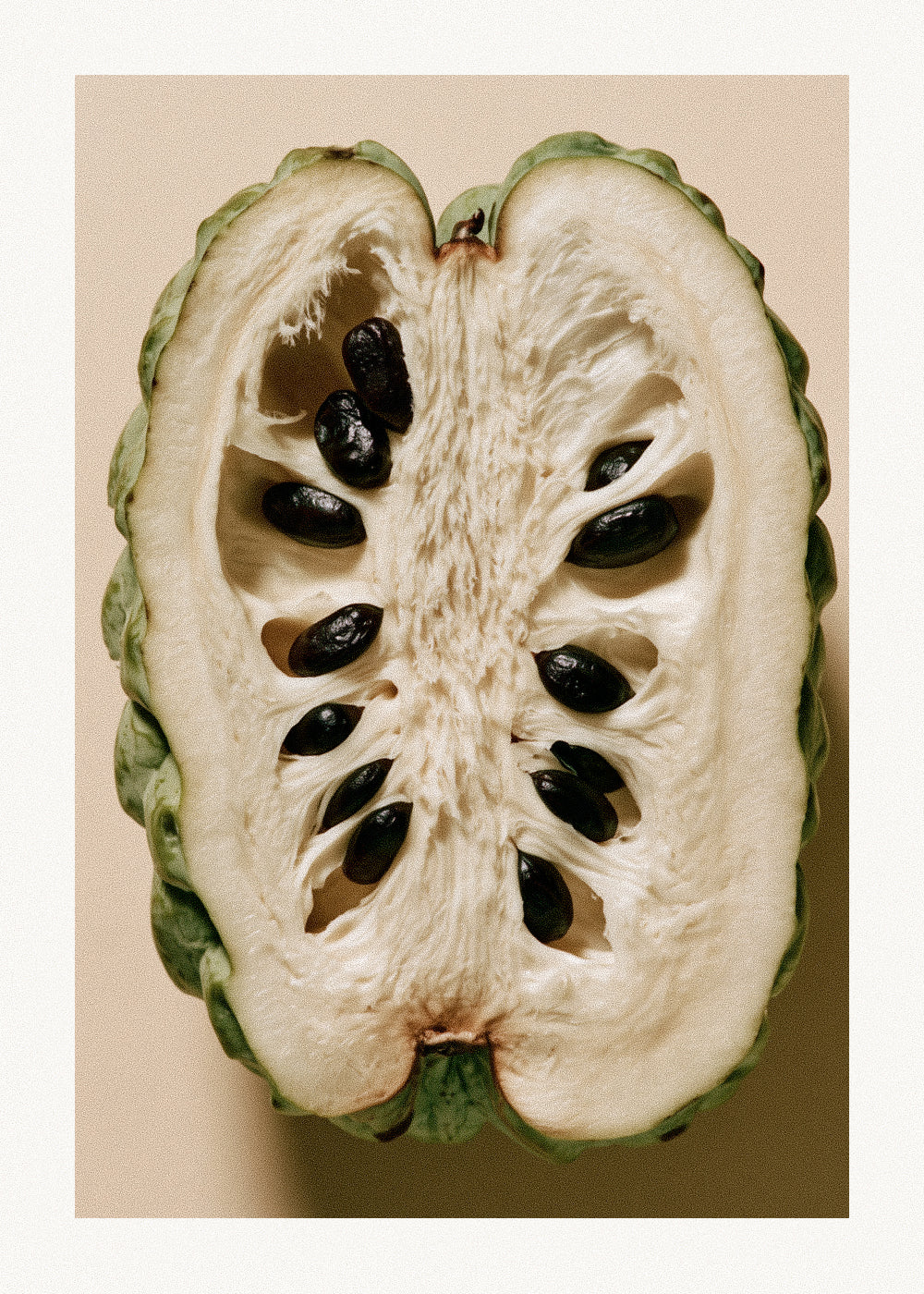 Seeds