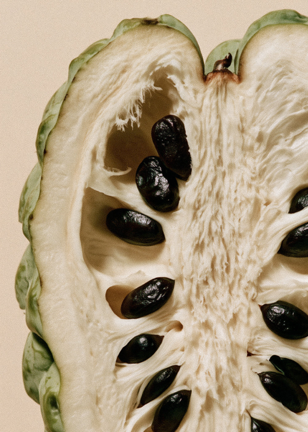 Seeds