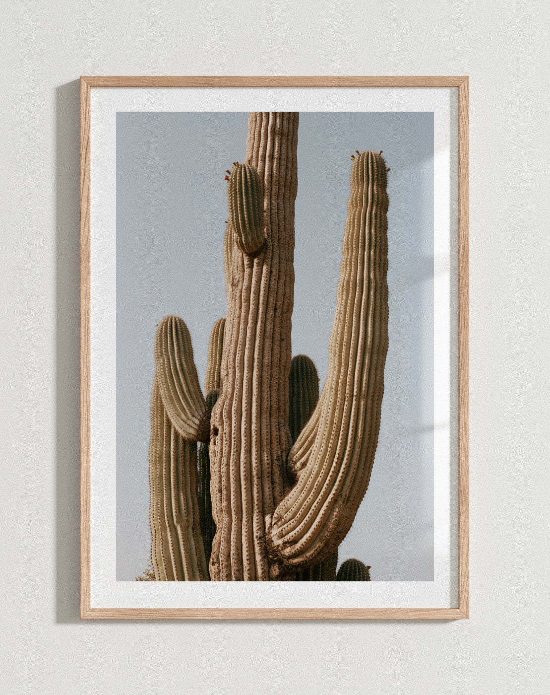 Desert